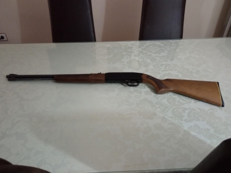 Se vende carabina Winchester 190

Marca WINCHESTER
Modelo 190
Calibre 22 LR
Cañón de 52 cm
Cargador por 01