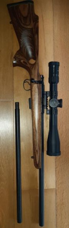 Vendo carabina CZ 455 VARMINT cal 22 lr y otro.cañon tambien varmint.del.cal.17 hmr.
Perfecto.estado. 00