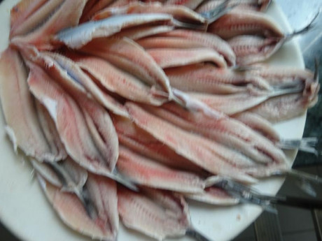 Hoy para comer acelgas hervidas y chuletón de vaca gallega vieja con seis semanas de maduración en cámara 90