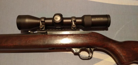 Carabina semiautomática Ruger 44remmag
Carril picatinny de aluminio marca poli Nicoletta
Anillas acero 00