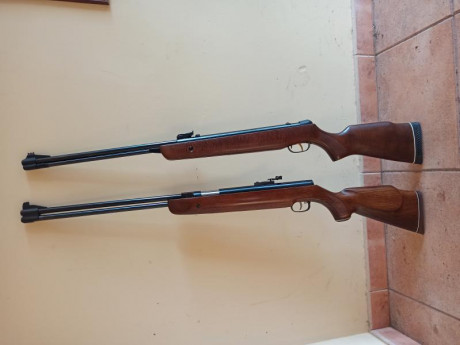 Buenas tardes, os copio pego un mensaje que he dejado en el subforo de bricolaje general y que de momento 61