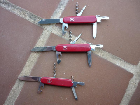 Vendo parte de mi colección de navajas Victorinox, algunas tienen un uso ligero, la mayoría de los útiles 21