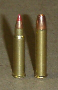 Tengo dudas entre el 22 lr o el 22 mamgun,el lr imagino que es más indicado para precisión pero me gustaría 60