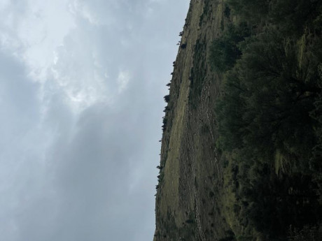 Viendo el hilo de monterias de la Comunidad Valenciana, abro este hilo por si alguna colla / sociedad 120