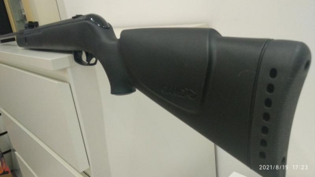 En esta ocasión, se trata de las dos Gamo Shadow que me quedan. Las pongo ambas en el mismo hilo, pues 20