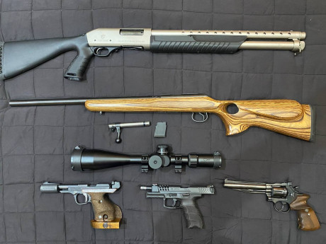 Mi primo vende algunas de sus armas por problemas personales.
Se encuentran en Madrid y se pueden ver 00