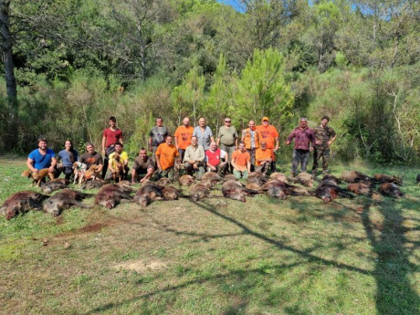 Viendo el hilo de monterias de la Comunidad Valenciana, abro este hilo por si alguna colla / sociedad 170