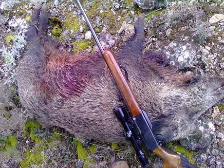   LOS ALMUERZOS DE CAZA MENOR NO CUENTAN  

Los veteranos ya sabéis como funciona esto, pero por si acaso 72