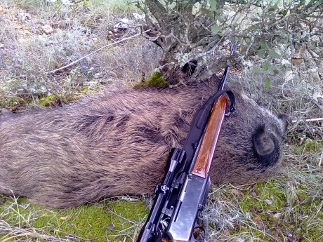   LOS ALMUERZOS DE CAZA MENOR NO CUENTAN  

Los veteranos ya sabéis como funciona esto, pero por si acaso 71
