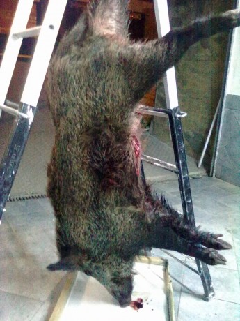   LOS ALMUERZOS DE CAZA MENOR NO CUENTAN  

Los veteranos ya sabéis como funciona esto, pero por si acaso 80