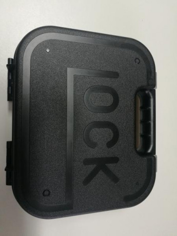 Se vende maletín caja de transporte de plástico rígido. La espuma del interior está en mal estado.El exterior 02