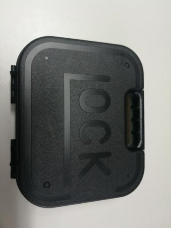 Se vende maletín caja de transporte de plástico rígido. La espuma del interior está en mal estado.El exterior 00