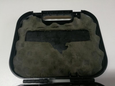 Se vende maletín caja de transporte de plástico rígido. La espuma del interior está en mal estado.El exterior 10