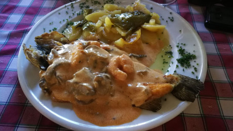 Hoy para comer acelgas hervidas y chuletón de vaca gallega vieja con seis semanas de maduración en cámara 50