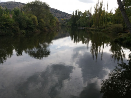 Hoy para comer acelgas hervidas y chuletón de vaca gallega vieja con seis semanas de maduración en cámara 71