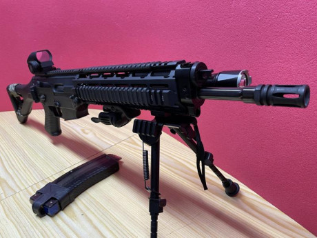 Vendo AR 15 SIG SAUER (SIG 522),cal.22 LR.completamente nuevo,solo ha tirado 2 cajas de municion,con equipamiento 01