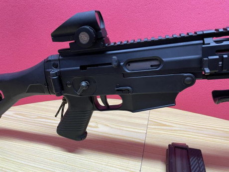 Vendo AR 15 SIG SAUER (SIG 522),cal.22 LR.completamente nuevo,solo ha tirado 2 cajas de municion,con equipamiento 00