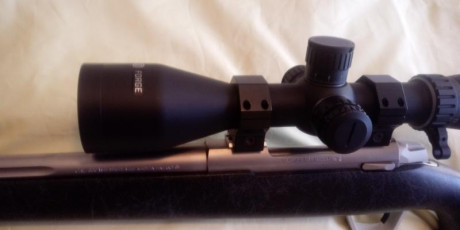 Vendo visor Bushnell Forge 3-24x56 Retícula iluminada  G4i en 2º plano. Tubo de 34mm.
Torretas Tàcticas 10