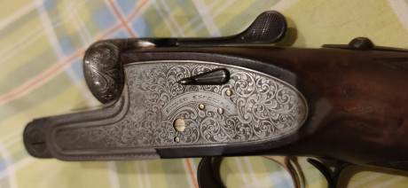 Hola compañeros.
La consulta es básicamente que tengo una escopeta paralela marca pakermy modelo silver 01