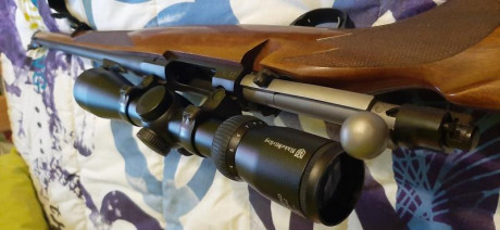Pongo en venta rifle Ruger Hawkeye con madera hasta la boca del cañón en calibre 243 winchester. 
Rifle 01