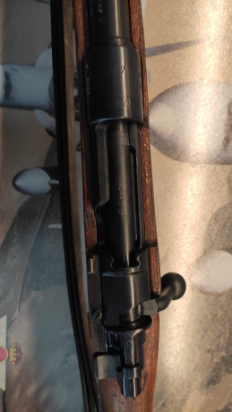 Buenos días,

quería saber si conocéis/recomendais algún armero para restaurar un rifle Mauser K98. Funciona 82