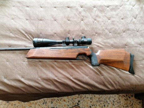 Bueno, para animar el foro un poco, propongo colgar fotos de dianas y arma usada para ello, pudiendo ser 92