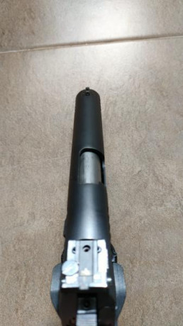 Vendo Taurus 45acp +carro adicional del 22Lr con su cargador.
La compre a un compañero del foro hace unos 02