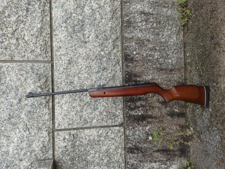 Hace un mes aproximadamente encargué en mi armería de confianza una Gamo cfx Royal en calibre 4,5. Como 30
