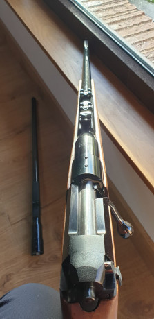 Un buen amigo sin cuenta aquí me pide anunciar su rifle, se trata del emblemático Mauser 66 en 7mm Remington 20