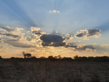 Comienzo este nuevo hilo para todos los que como yo estan bajo en "mono" de volver a Africa, 50