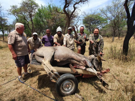 Comienzo este nuevo hilo para todos los que como yo estan bajo en "mono" de volver a Africa, 60