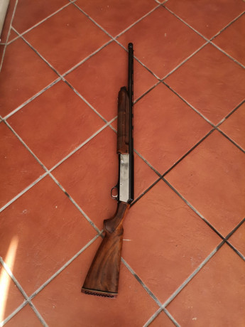 Hola compañeros, me quiero comprar una escopeta Franchi Prestige de 12 años seminueva y queria saber si 111