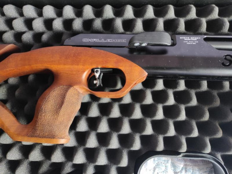 Vendo mi steyr lg110 hunting del 5.5, está a ESTRENAR no he tirado ningún tiro ya que por circunstancias 00