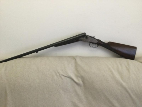 Hola Compañeros acabo de obtener el permiso E D.

Soy nuevo en el tema de armas largas.

El problema es 62