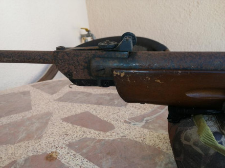 Hola tengo una carabina del 4.5 marca gamo de aprox 25 años o algo mas. Es muy masiva de madera, con estrias 142