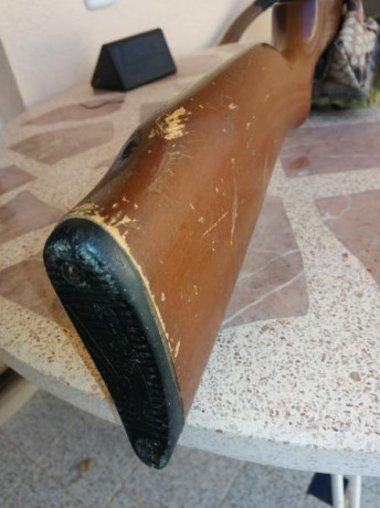 Hola tengo una carabina del 4.5 marca gamo de aprox 25 años o algo mas. Es muy masiva de madera, con estrias 141