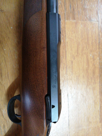 Hola compañeros, 

Me estoy preparando para la temporada que viene, me he desecho de un rifle semiautomático 61