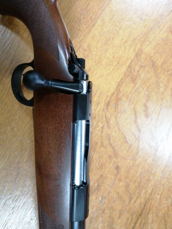 Hola compañeros, 

Me estoy preparando para la temporada que viene, me he desecho de un rifle semiautomático 71