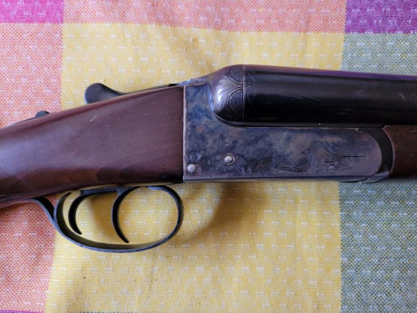 Vendo, por no usar, escopeta yuxtapuesta Víctor Sarasqueta calibre 12/70 con cañones de 70 centímetros 11