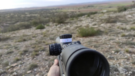 VENDIDO. SE PUEDE CERRAR



Buenas tardes,

Pongo en venta mi visor Vector Optics Continental 3-18x50 60