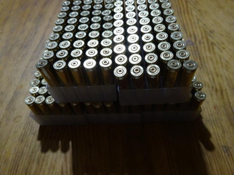 Buenos días,

Vendidas las 505 vainas Hornady del calibre .222R, conservan el pistón original Hornady 01