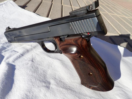 Buenas!!
Se vende Smith & Wesson Mod.41 (cal.22) comprada nueva hace menos de dos años, apenas mil 60