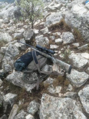 Imaginemos un calibre standard , para no liarnos demasiado.
Que rifle economico eligiriais de estos tres
- 30