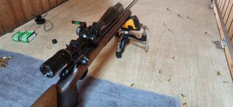 Hola. Estoy buscando una carabina para iniciarme en precisión. Me han hablado muy bien, por su relación 21