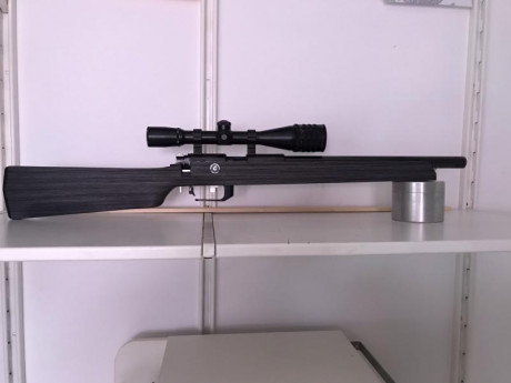 Hola. Estoy buscando una carabina para iniciarme en precisión. Me han hablado muy bien, por su relación 31