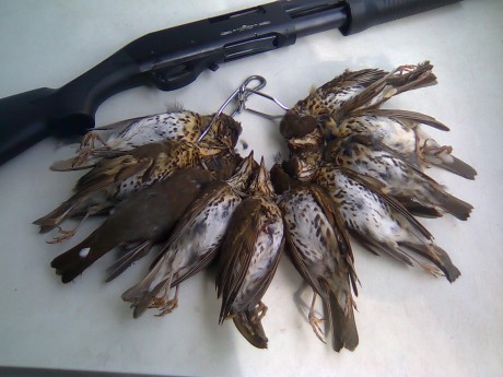 Hola, estoy a punto de comprarme un "bicho" de estos y, por cierto, a muy buen precio y nuevecita 80
