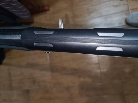 Buenas recientemente compre una escopeta para cazar a la mano el jabalí . He visto que tiene unas inserciones 02