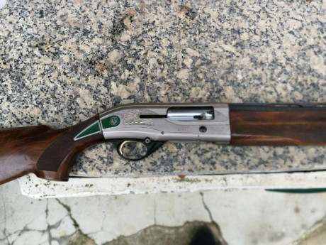Hola un amigo vende una Beretta Teknys Lagrima verde. LA escopeta la compró en 2004 por capricho, no ha 02