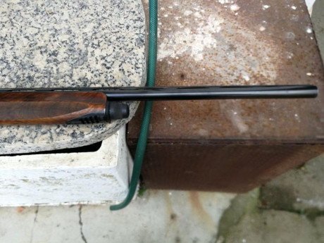 Hola un amigo vende una Beretta Teknys Lagrima verde. LA escopeta la compró en 2004 por capricho, no ha 01
