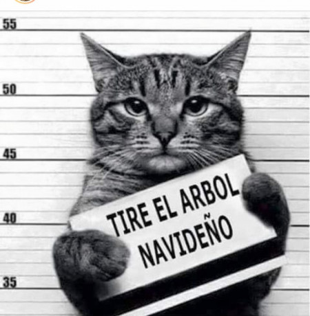 ¡Muy buenas a todos!

Estaba dando un paseo por el foro, cuando me he dado cuenta de que no había un hilo 150